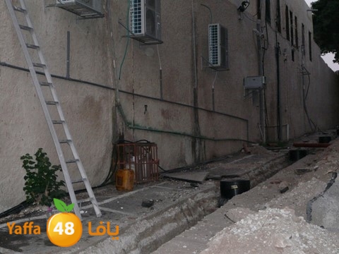 tarmem kanesa  1108 (6).jpg